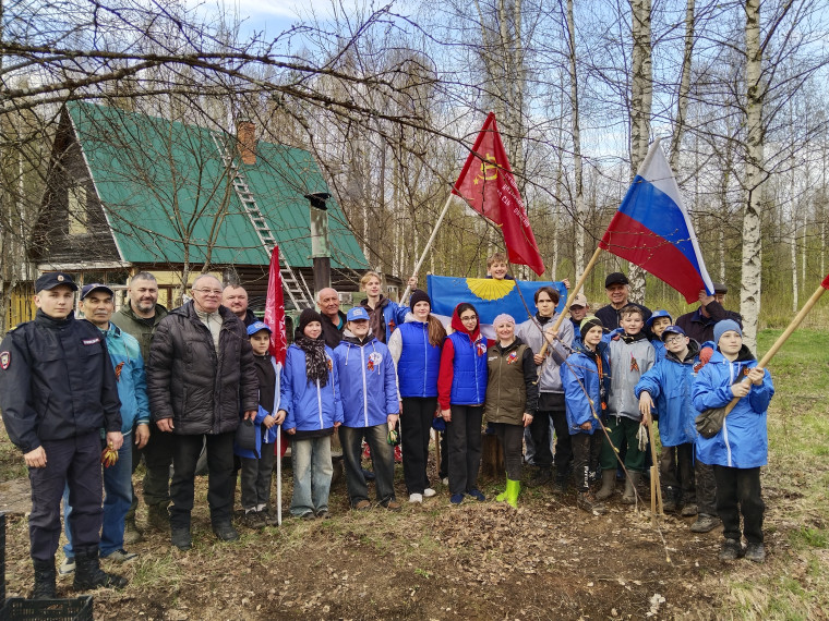 «ДЕВЯТОЧКА» - участник проекта «Кедры России».